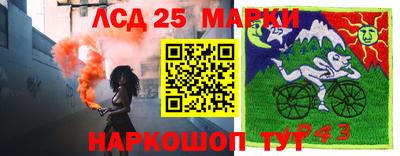 меф Гатчина