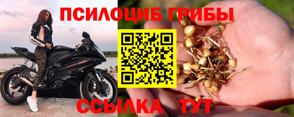 Псилоцибиновые грибы мухоморы Муром
