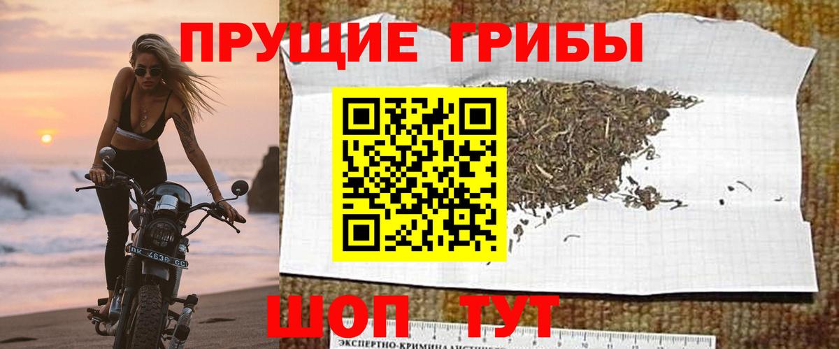 закладка  Галлюциногенные грибы ЛСД  Галлюциногенные грибы мицелий  Вход с VPN  Муром 